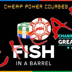 Chasing Poker Greatness Fish In A Barrel 2023 Poker Course