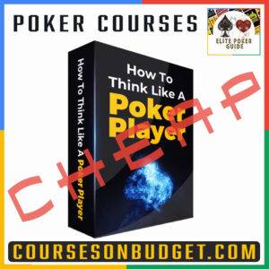 Alex Fitzgerald How To Think Like A Poker Player