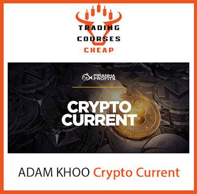 Adam Khoo - Crypto Current Investing Course Cheap