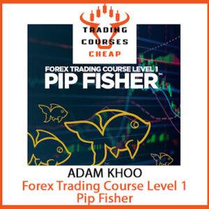 Adam Khoo – Forex Trading Course Level 1: Pip Fisher