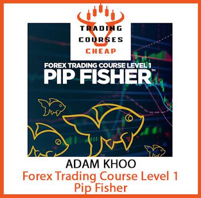 Adam Khoo - Forex Trading Course Level 1 Cheap