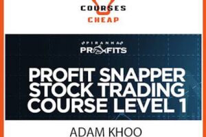 Adam KHOO - PIRANHA PROFITS – STOCK TRADING COURSE LEVEL 1 PROFIT SNAPPER index review 2026 on Courses On Budget