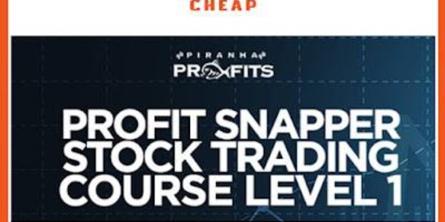 Adam KHOO - PIRANHA PROFITS – STOCK TRADING COURSE LEVEL 1 PROFIT SNAPPER index review 2026 on Courses On Budget