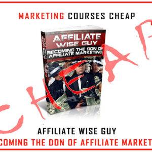 Affiliate Wise Guy - Becoming The Don of Affiliate Marketing Cheap