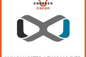 Amy Sangster, Lewis Mocker - Infinite Prosperity index review 2026 on Courses On Budget