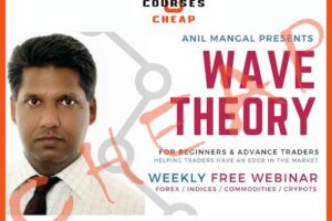 Anil Mangal - Wave Trading index review 2026 on Courses On Budget