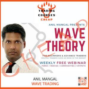 Anil Mangal – Wave Trading