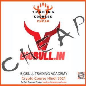 BigBull Trading Academy - Crypto course hindi 2021 Cheap