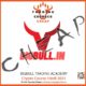 BigBull Trading Academy – Crypto course hindi 2021 — Index Review 202