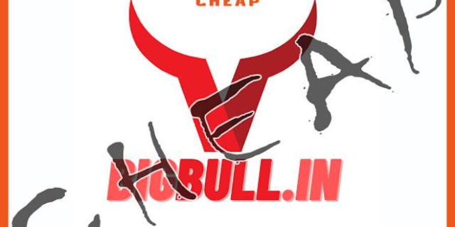 BigBull Trading Academy - Crypto course hindi 2021 index review 2026 on Courses On Budget