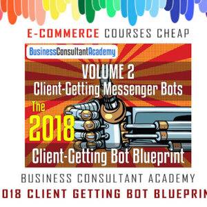 Business Consultant Academy - 2018 Client Getting Bot Blueprint Cheap