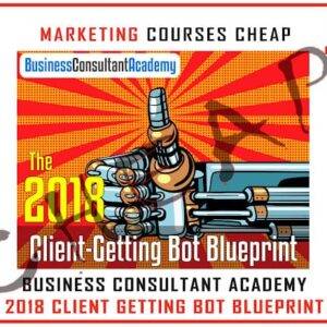 Business Consultant Academy - Client Getting Bot Blueprint Cheap