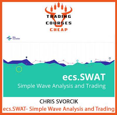 Chris Svorcik - Simple Wave Analysis and Trading Cheap