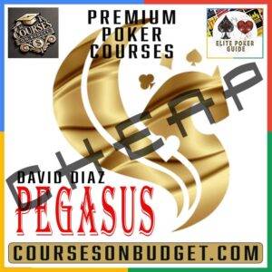 David Diaz Pegasus Curso