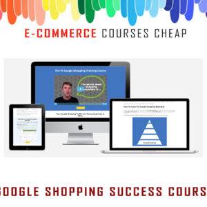 Dennis Moons – Google Shopping Success Course