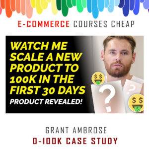 Grant Ambrose - 0-100K Case Study Cheap