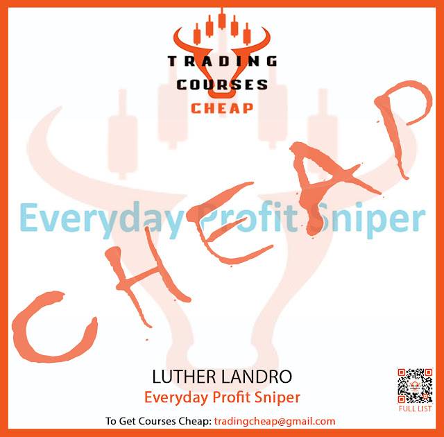 Luther Landro - Everyday Profit Sniper Cheap