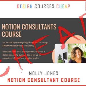 Molly Jones - Notion Consultant Course Cheap