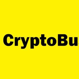 CryptoBusy Academy – Pro Trader Course Cheap