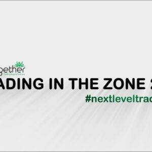 Get Together Finance – Trading In The Zone Cheap