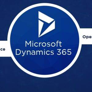 Microsoft Dynamics 365 Finance and Operations Cheap