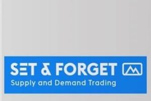 Alfonso Moreno - Set & Forget - Forex and Stocks Trading Course index review 2026 on Courses On Budget
