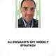 Ali Pashaei – SPY Weekly Strategy – All Three Classes — Index Review 2026