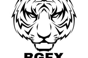 BGFX Trading Academy index review 2026 on Courses On Budget