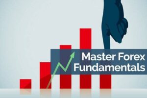 BKForex - Forex Masterclass index review 2026 on Courses On Budget