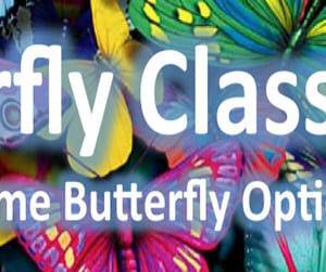 Dan Sheridan – Butterflies for monthly Income