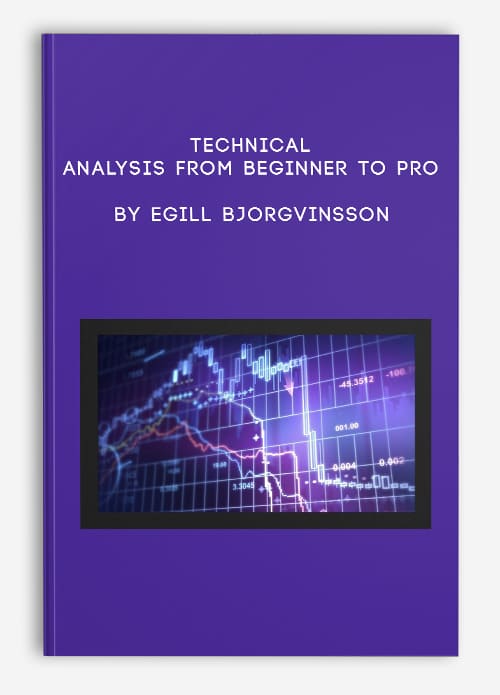 Egill Bjorgvinnson - Technical Analysis From Beginner To Pro Cheap