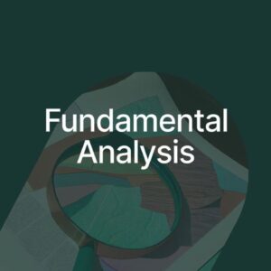 Fin Labs Capital - Fundamental Analysis Cheap