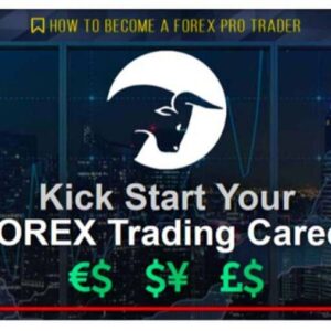 Live Traders – How To Become A Forex Pro Trader