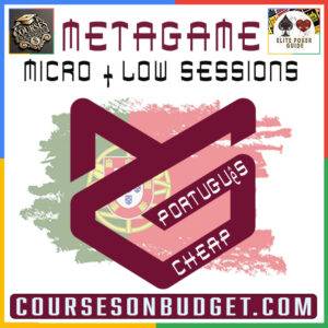 Metagame Poker Micro and Low Stakes Sessions