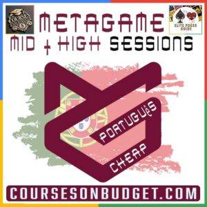 Metagame Poker Mid and High Stakes Sessions