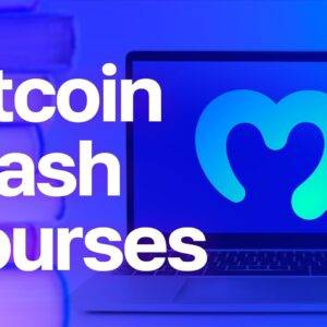 The Bit Smart Academy - Bitcoin Crash Course Cheap