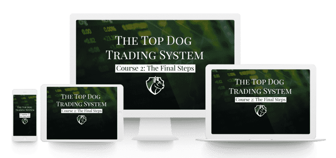 Top Dog Trading System - Momentum As a Leading Indicator Cheap