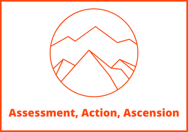 Andrew Foxwell - AAA Program: Assessment, Action, Ascension Cheap