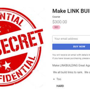 Holly Starks – Make LINK BUILDING Great Again!