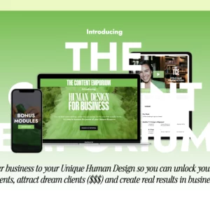 Phoebe Khun - Human Design For Business Cheap