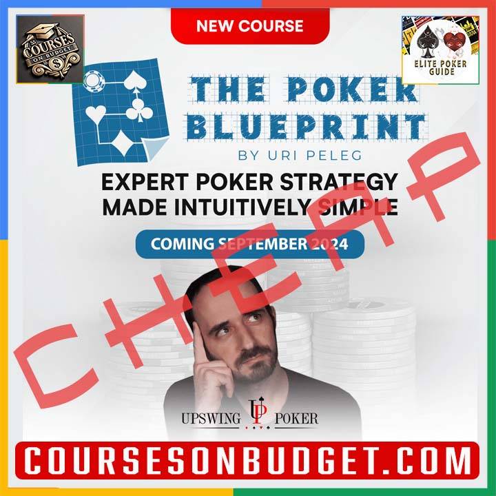 Read more about the article UPSWING THE POKER BLUEPRINT by Uri Peleg Post