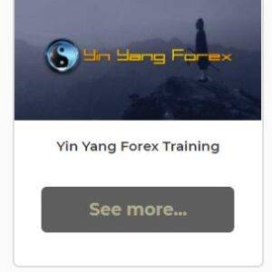 Yin Yang - Forex Training Program Cheap