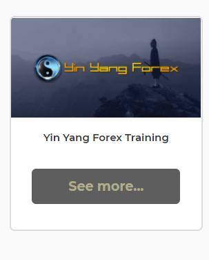 Yin Yang - Forex Training Program Cheap