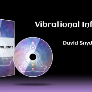 David Snyder - Vibrational Influence Cheap