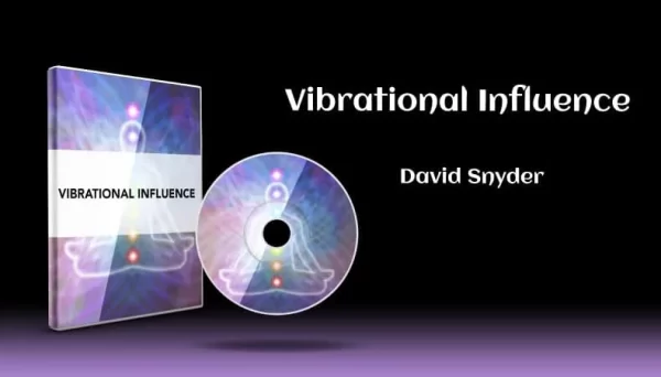 David Snyder - Vibrational Influence Cheap