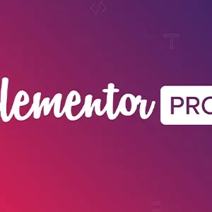 Elementor Pro 3.0.9 WordPress Plugin Package Cheap