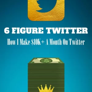 Lawrence King - 6 Figure Twitter Cheap