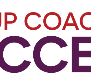 Michelle Schubnel - Group Coaching Success Cheap