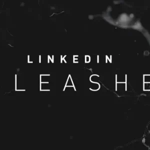 Natasha Vilaseca - Linkedin Unleashed Cheap