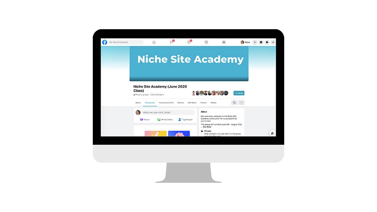 Niche Site Academy - Stupid Simple SEO Cheap